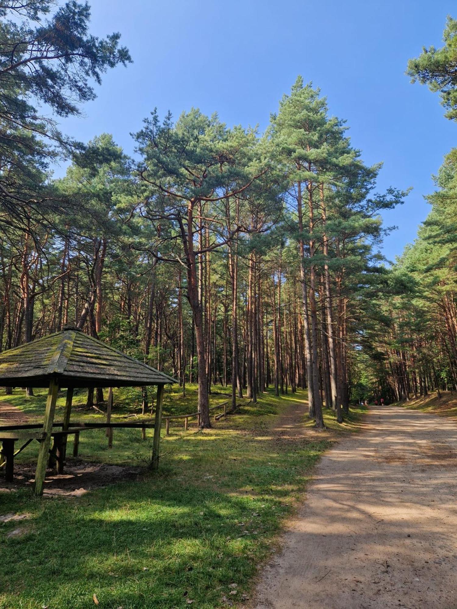 Apartamenty Promyk Виселка Экстерьер фото